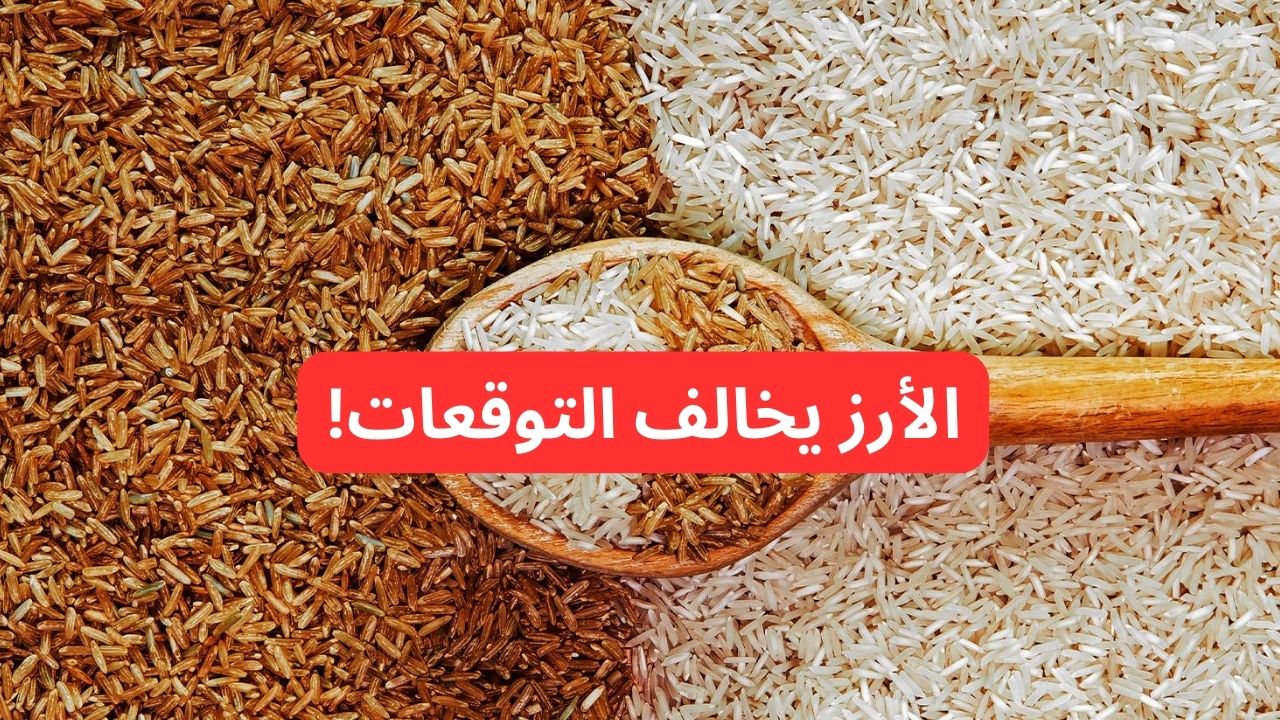 “الأرز خالف التوقعات”.. سعر طن الأرز الشعير اليوم الأحد 16-2-2025 والأبيض يفاجئ الكل!