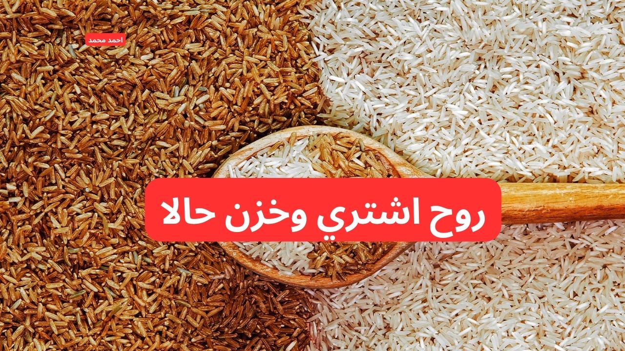 “الأرز يخالف التوقعات”.. سعر طن الأرز الشعير اليوم الاثنين والأبيض 3-2-2025 تفاجي الكل!
