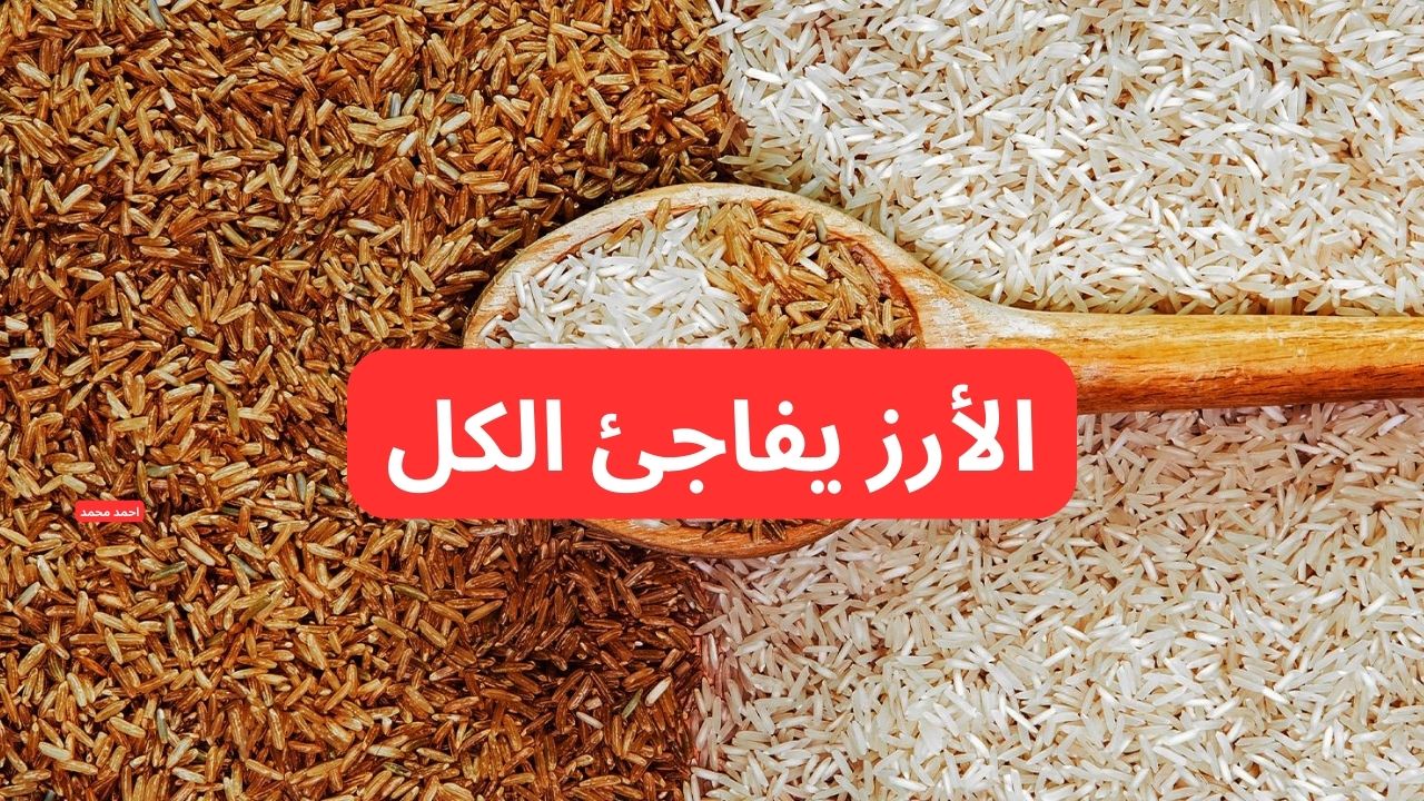 “الأرز يفاجي الكل”.. سعر طن الأرز الشعير اليوم الخميس 20-2-2025 والأبيض يخالف التوقعات!