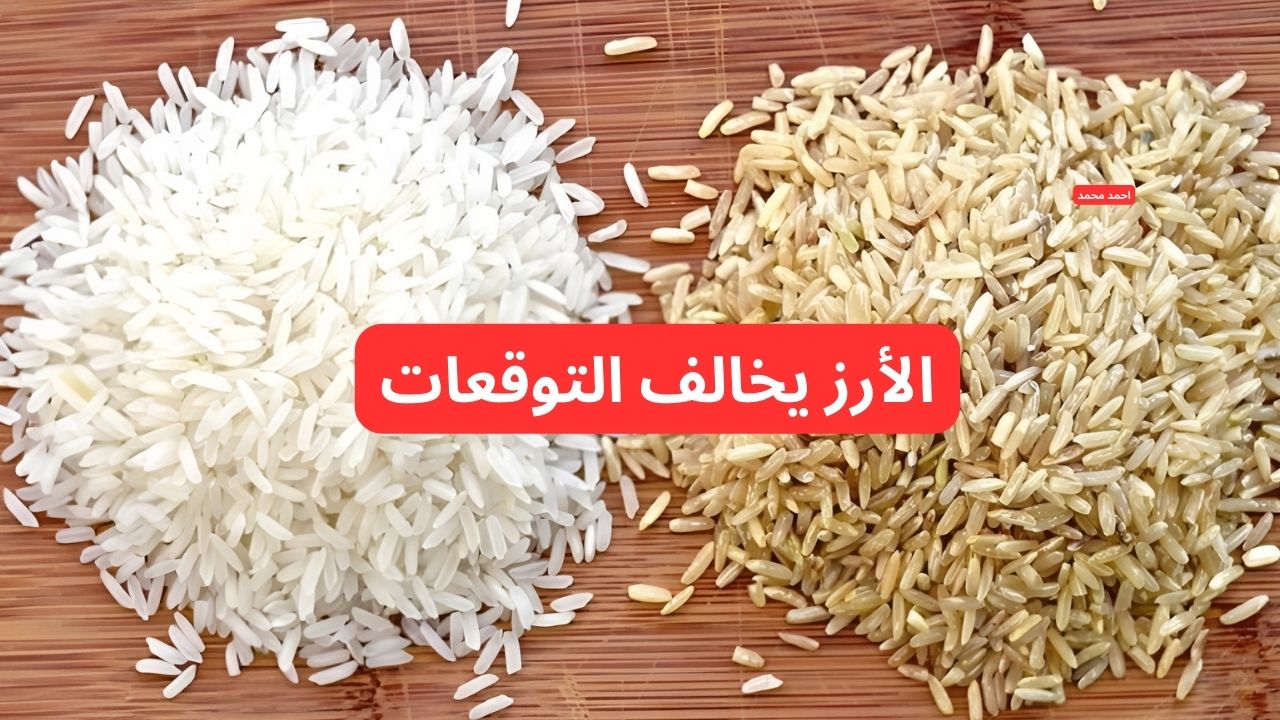 “الأرز يخالف التوقعات”.. سعر طن الأرز الشعير اليوم الأحد 23-2-2025 والأبيض!