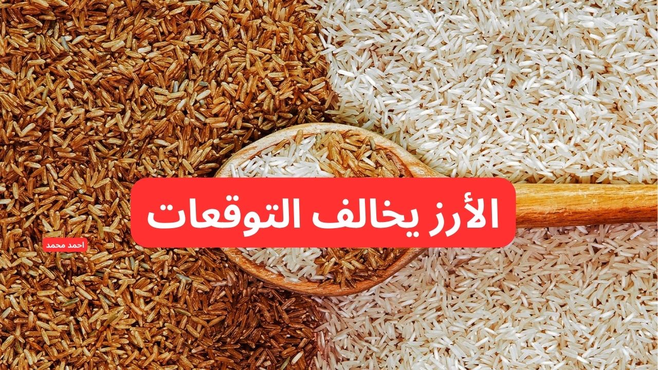 “الأرز يخالف التوقعات مع بداية رمضان”.. سعر طن الارز الشعير اليوم الجمعة 28 فبراير 2025 والأبيض!