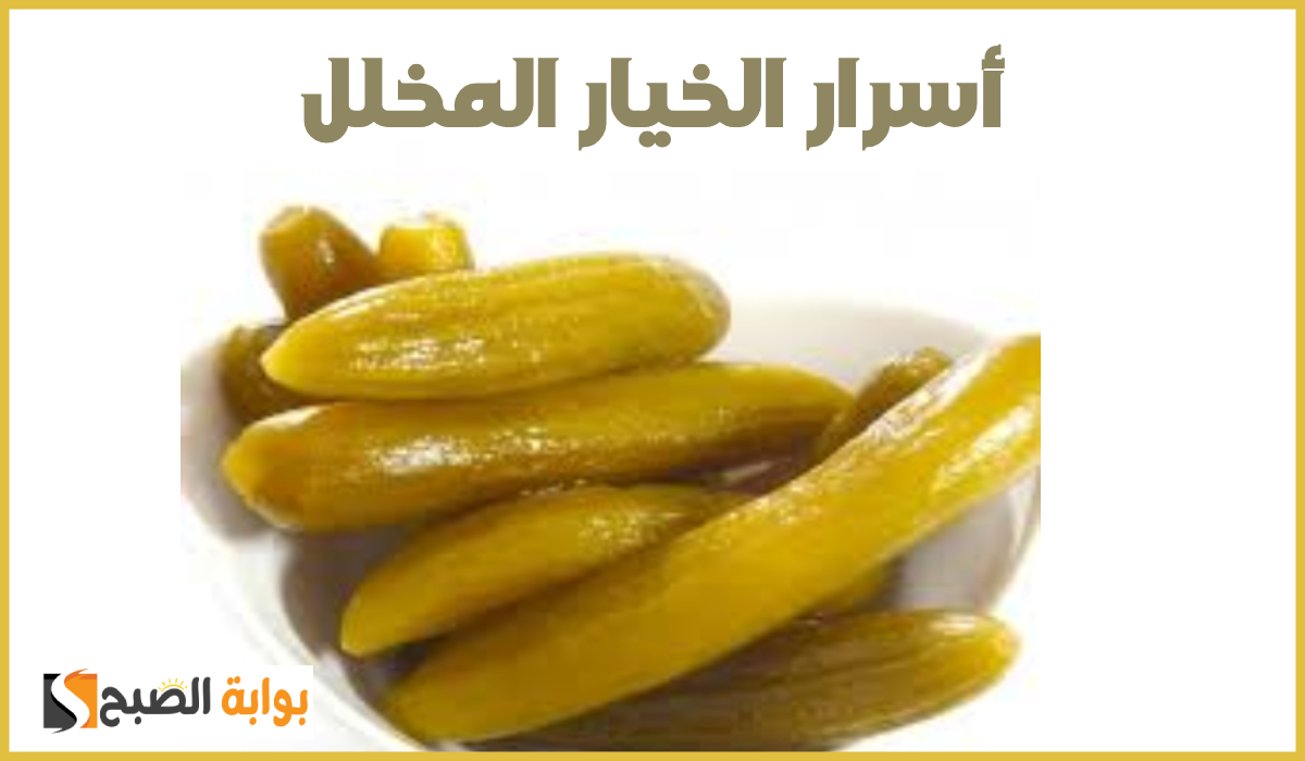 مقرمش ولذيذ.. طريقة عمل خيار مخلل مثل المطاعم بخطوات سهلة