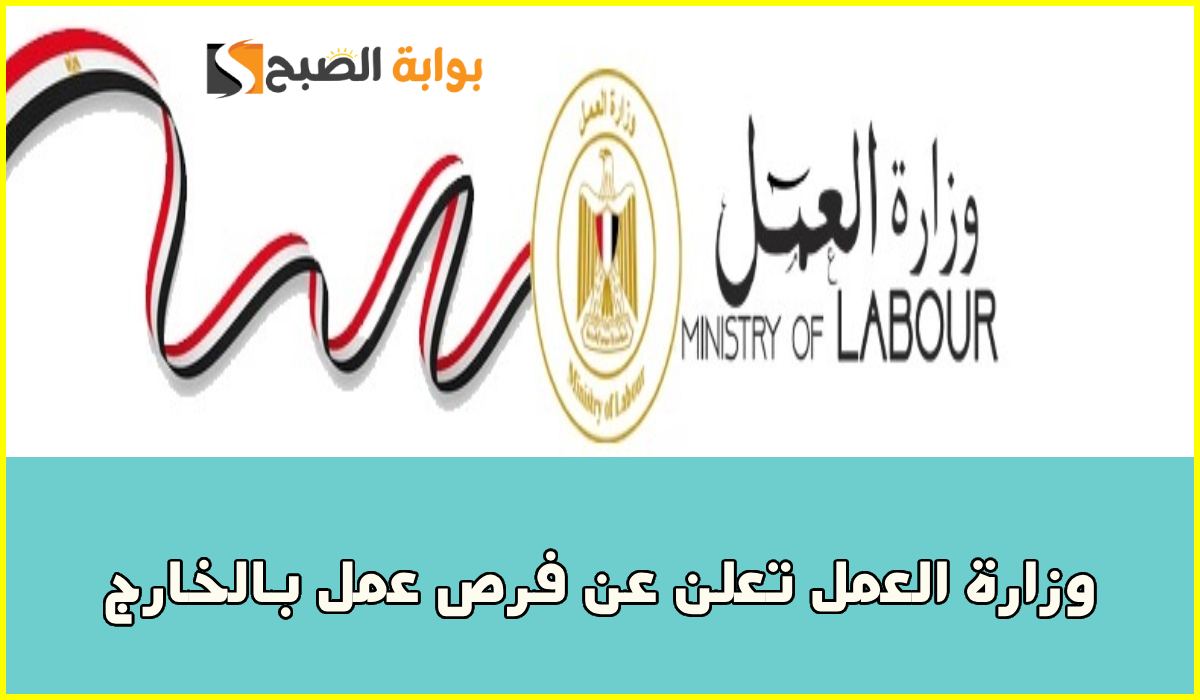 وزارة العمل تعلن عن وظائف مقاولات بالخارج براتب يبدأ من 28 ألف.. التخصصات ورابط التقديم