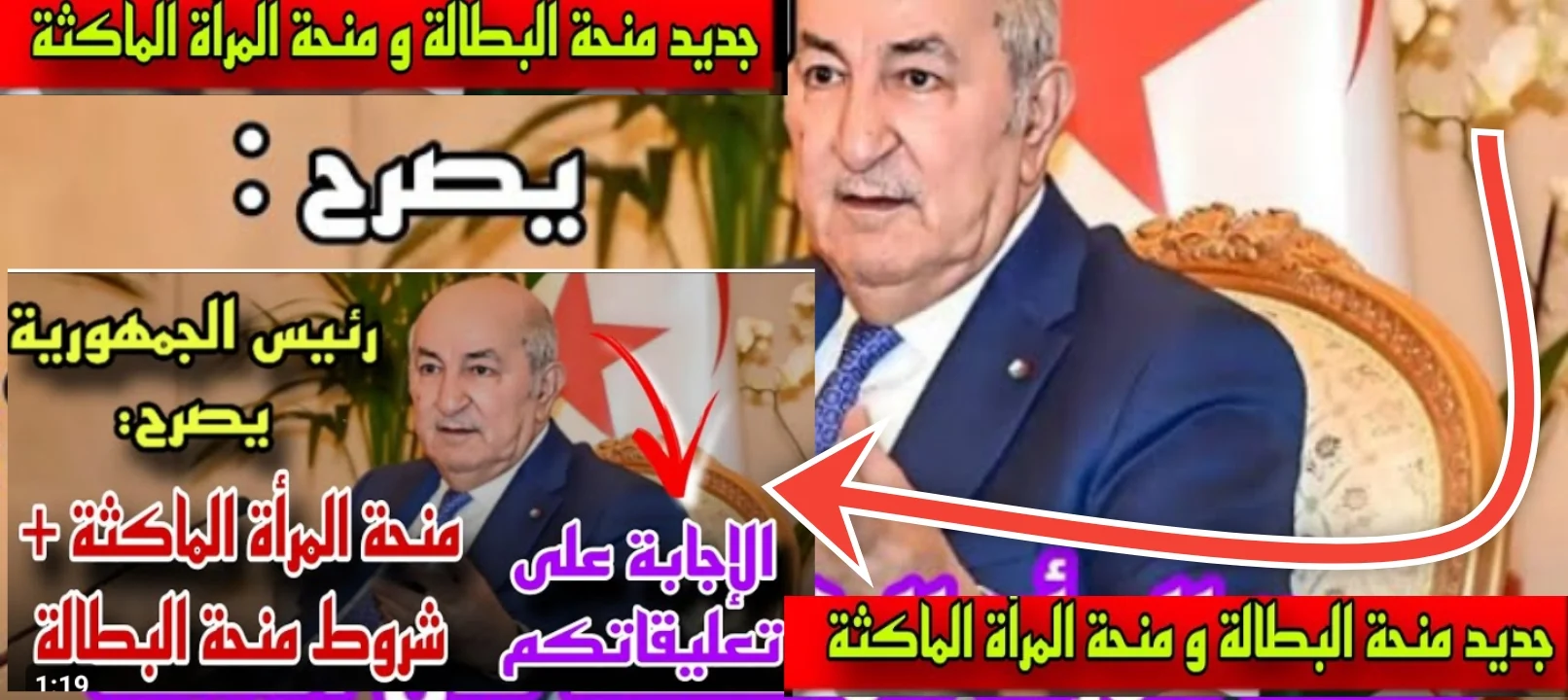 كم تبلغ منحة البطالة للمرأة الماكثة في البيت؟.. الوكالة الوطنية للتشغيل تجيب