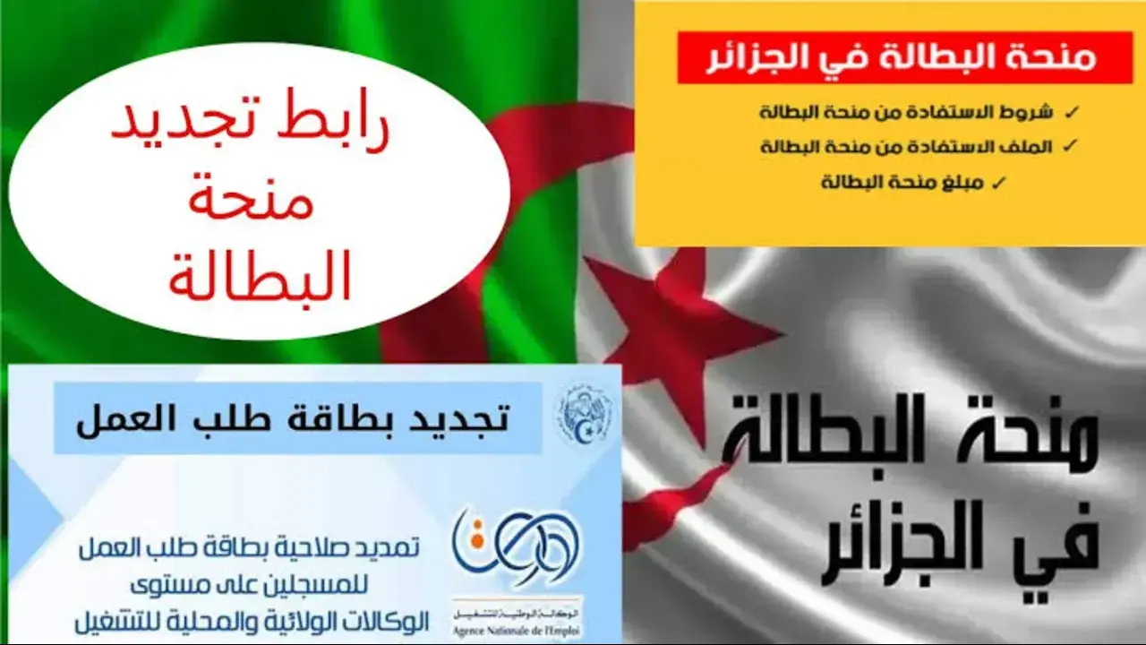 خطوات تجديد منحة البطالة من الهاتف 2025 بالجزائر واهم الشروط المطلوبة للتجديد