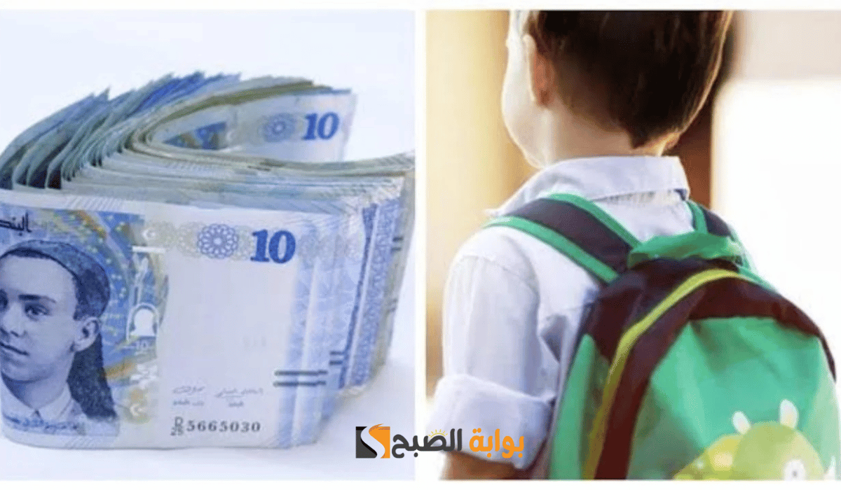 الوكالة الوطنية للتشغيل طريقة وشروط التسجيل في منحة الطفل بالجزائر  2025