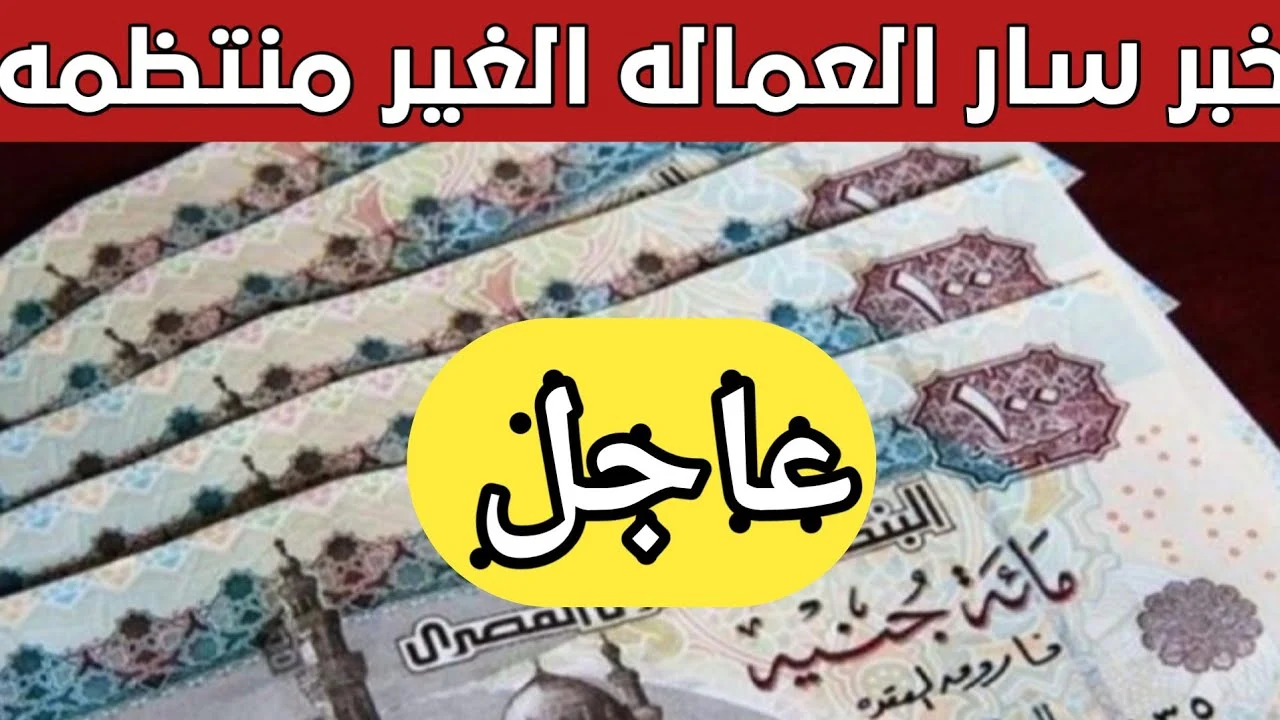 “مفاجأة سارة في رمضان”..الحكومة تصرف منحة 1000 جنيه للعمالة غير المنتظمة وتعلن عن موعد الصرف