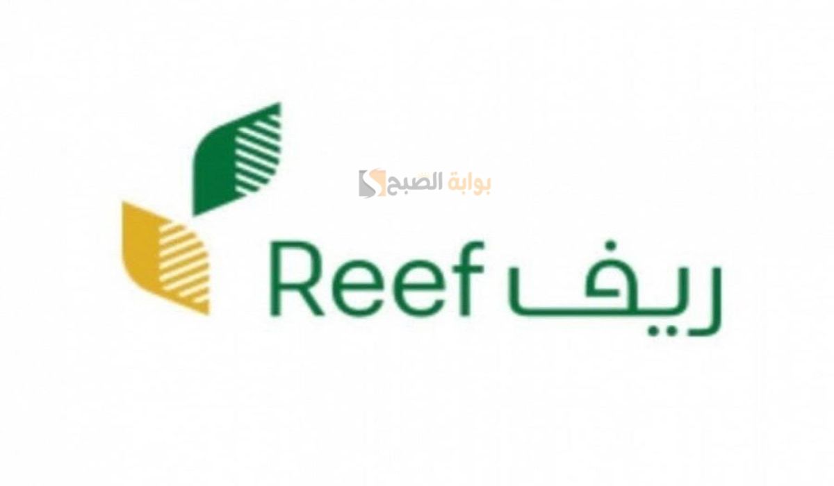 ريف السعودية يوضح متى موعد صدور نتائج الأهلية في ريف 2025