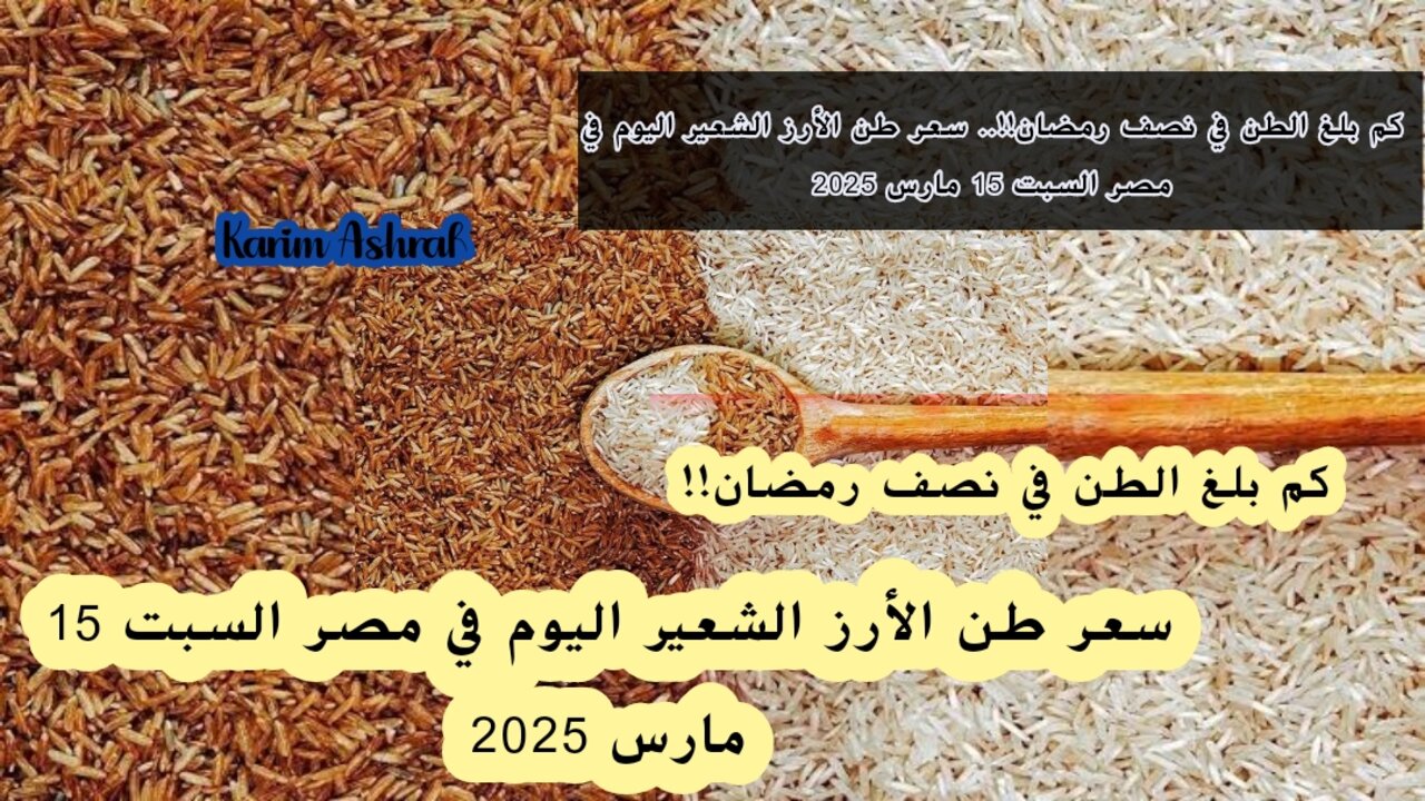 كم بلغ الطن في نصف رمضان!!.. سعر طن الأرز الشعير اليوم في مصر السبت 15 مارس 2025
