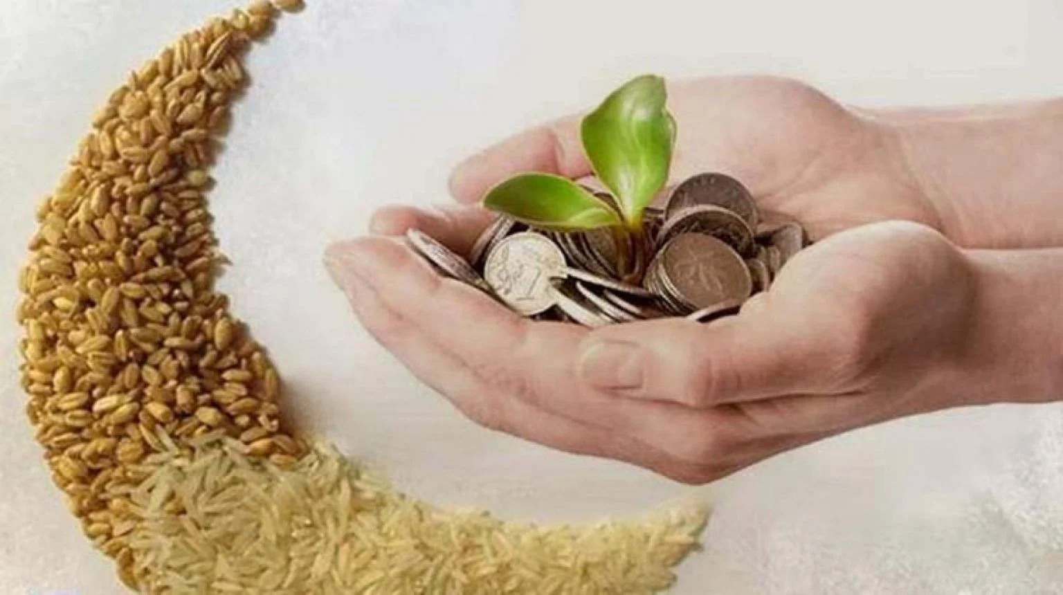 عاجل الشؤون الدينية بالجزائر تعلن قيمة زكاة الفطر لعام 2025 وتحدد آليات جمعها وأفضل أوقاتها