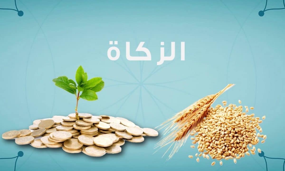 مقدار زكاة الفطر  2025 في مصر والسعودية وعدد من الدول العربية الإسلامية وموعد إخراجها