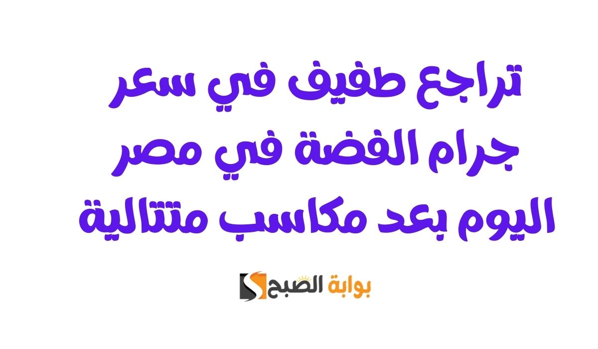 تراجع طفيف في سعر جرام الفضة في مصر اليوم بعد مكاسب متتالية