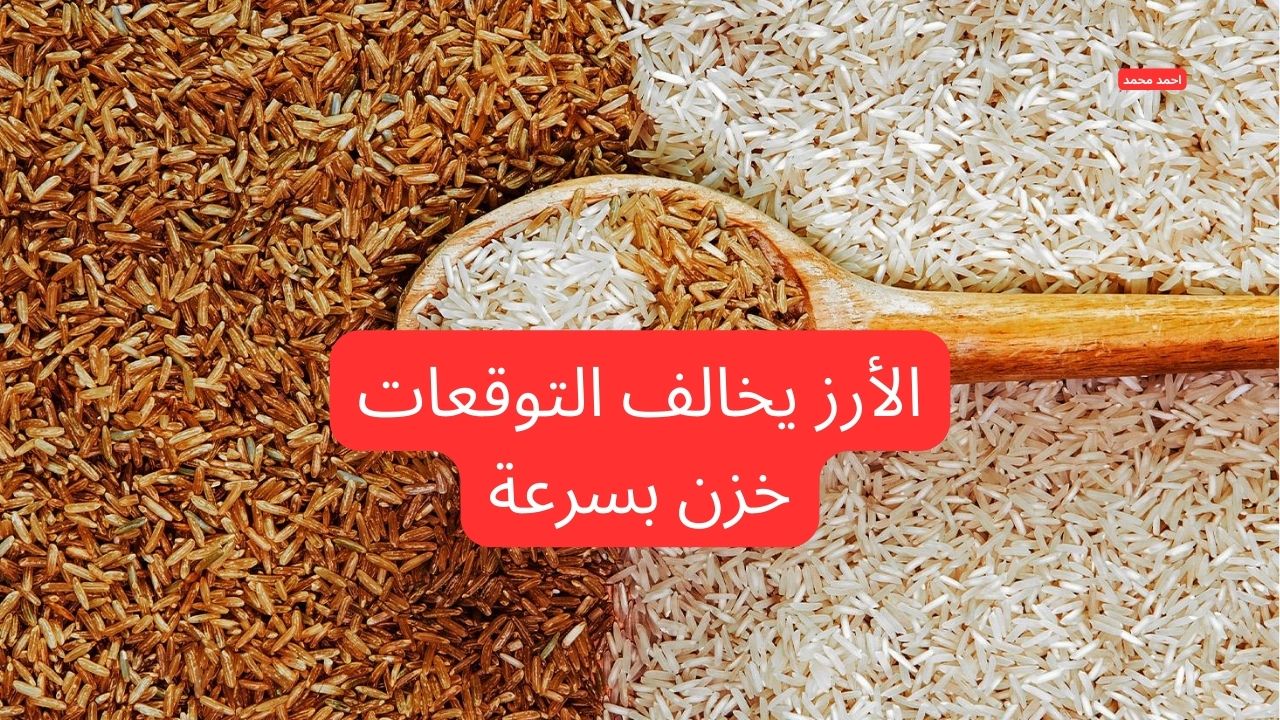 وصل كام النهارده؟.. سعر طن الأرز الشعير اليوم الأحد 2-3-2025 والأبيض