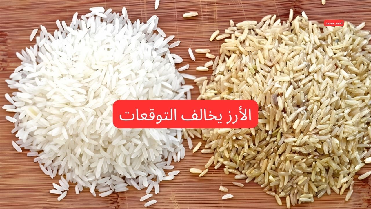 “مفاجأة جديدة”.. هل ارتفع سعر طن الأرز الشعير اليوم الاثنين 3-3-2025 والأبيض؟