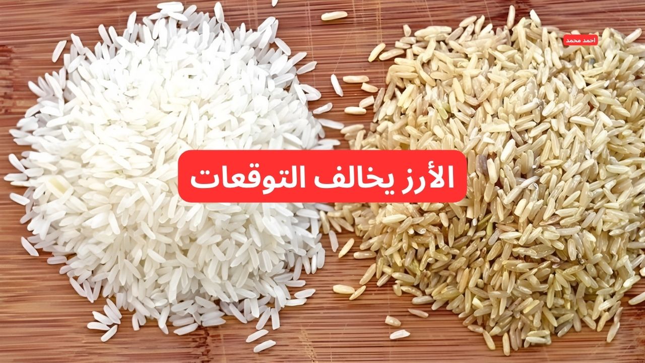 “أسعار الأرز تفاجئ الكل”.. سعر طن الأرز الشعير اليوم السبت 1-3- 2025 والأبيض!