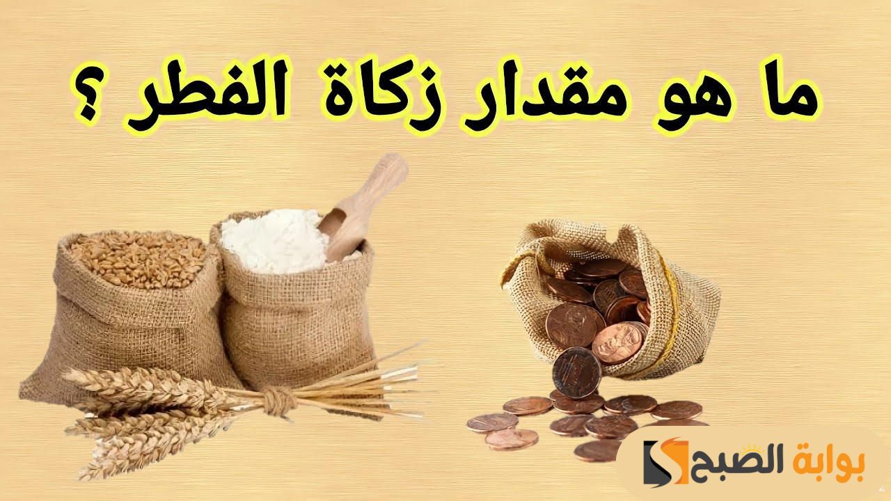 قيمة زكاة الفطر 2025 في مصر وشروطها والفئات الغير مستحقة لها وموعد إخراجها .. اعرف التفاصيل