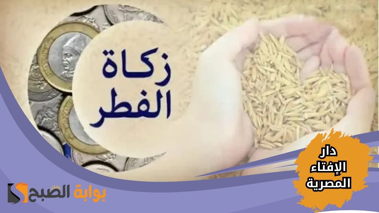 كم قيمة زكاة الفطر 2025 في مصر؟ دار الإفتاء المصرية تحدد القيمة الرسمية لهذا العام