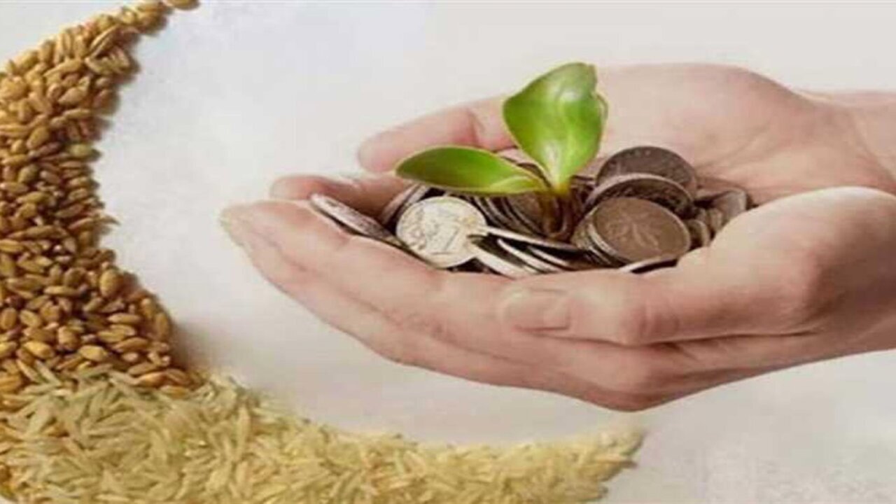 دار الإفتاء تعلن قيمة زكاة الفطر وفدية الصيام لهذا العام 2025 وموعد اخراج زكاة الفطر