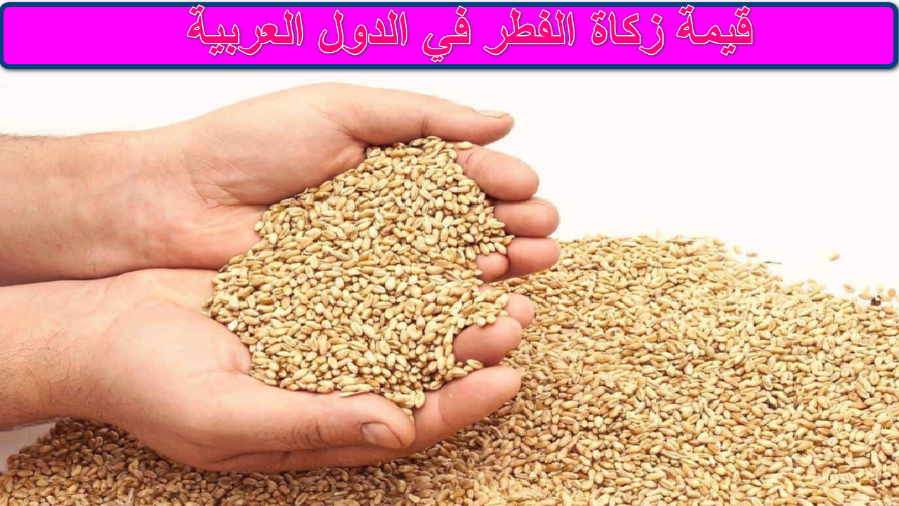 كم تدفع وفقًا لبلدك؟ قيمة زكاة الفطر 1446هـ في الدول العربية وموعدها والفئات المستحقة… القائمة الكاملة للقيمة بالعملات المحلية