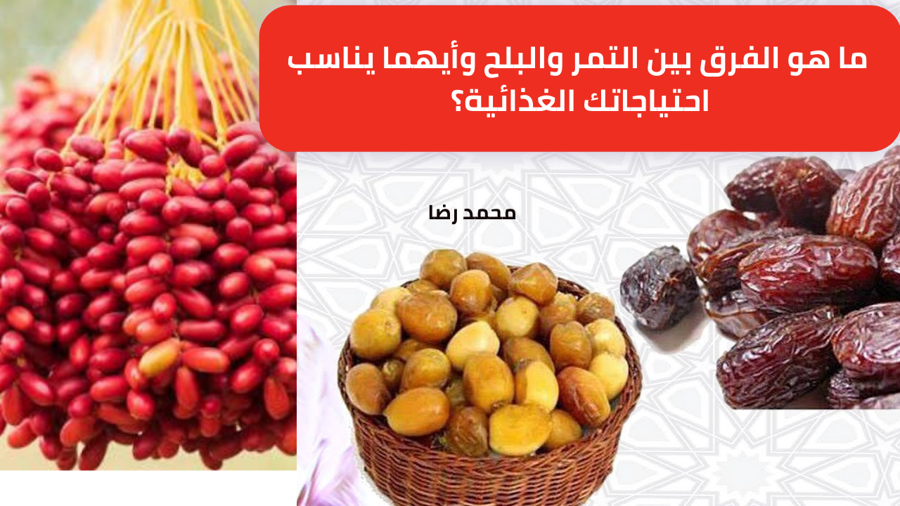 “اعرف قبل التسوق الأونلاين”.. ما هو الفرق بين التمر والبلح وأيهما يناسب احتياجاتك الغذائية؟