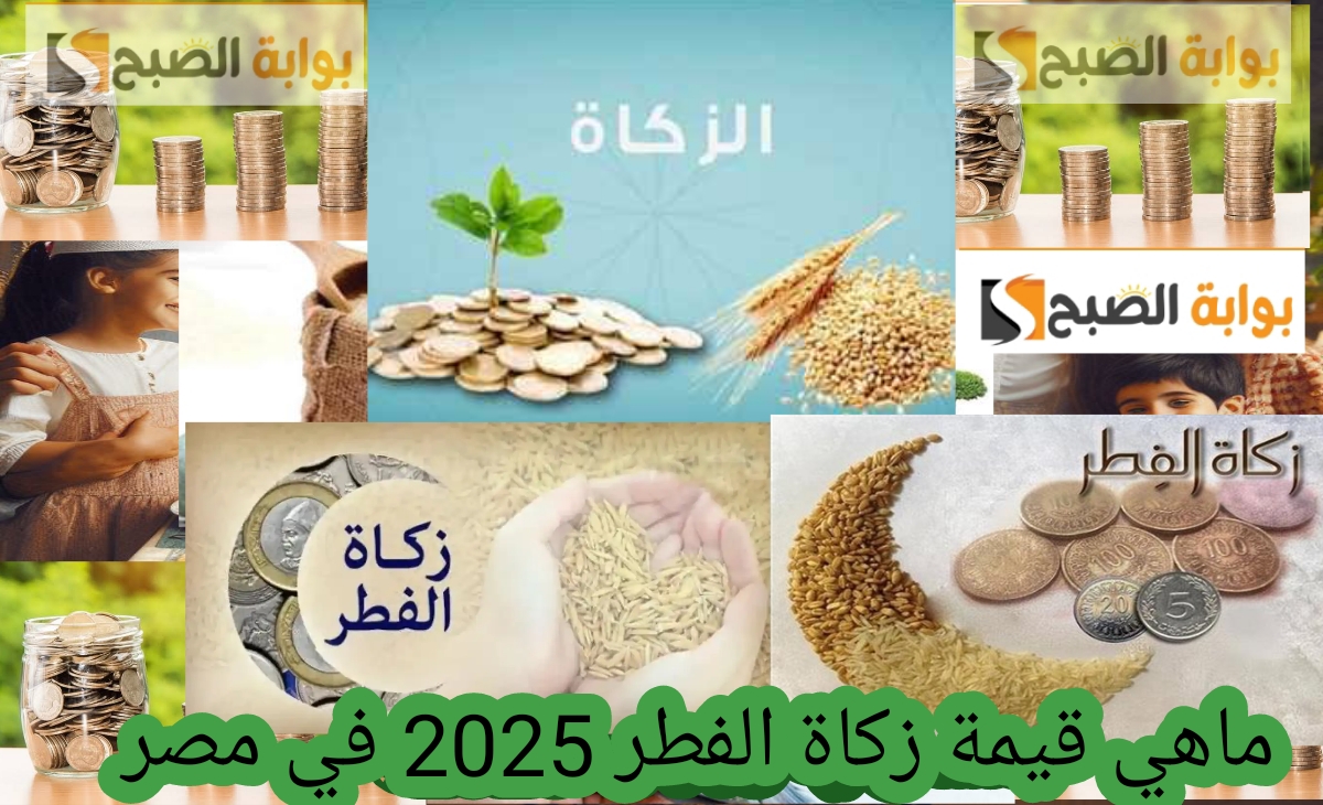 ماهي قيمة زكاة الفطر 2025 في مصر ومن هم المستحقين وكيفية حسابها في 3 ثواني