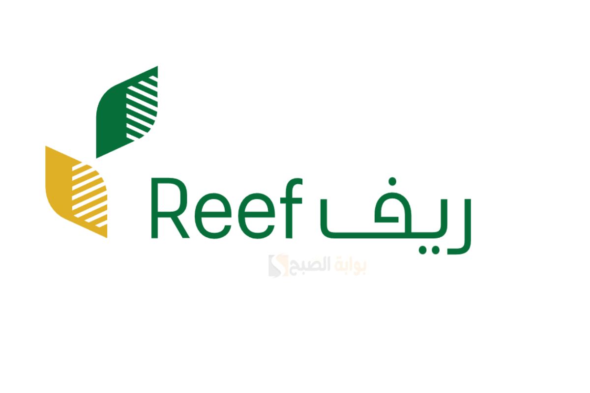 متى يتم صرف دعم ريف وكيف أعرف أني مقبول 2025