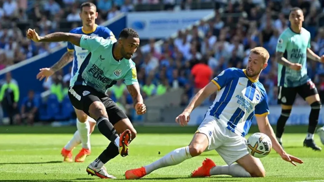 كأس الاتحاد.. القنوات الناقلة لمباراة نيوكاسل وبرايتون Newcastle VS Brighton والمعلق والتشكيل