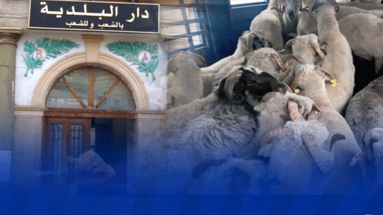 تحديد اوليات اقتناء الاضاحي المستوردة فقط لتلك الفئات في الجزائر !