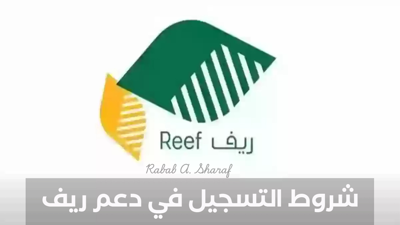 كل أسرار دعم ريف 2025.. اعرف شروط التسجيل في دعم ريف وأخطر أسباب وقف الدعم.. لا تضيع الفرصة