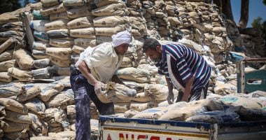 سعر الأسمنت لهذا اليوم، السبت 28 يونيو 2025.. ما هي تكلفة الطن؟