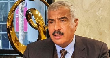 «طلعت مصطفى» تتربع على قمة أقوى 100 شركة في مصر وتحصل على جائزة المطور العقاري المتميز لعام 2025