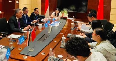 وزير الاستثمار يؤكد أن مصر تعمل حاليا على تطوير مجموعة من المشروعات البتروكيماوية الكبرى