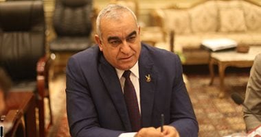 أبو المجد يرحب بالتجديد في مبادرة استيراد السيارات للمصريين المغتربين