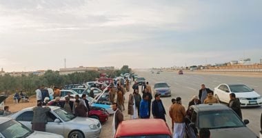 اكتشف عدد السيارات الجديدة والمستعملة التي تم ترخيصها في مايو 2025