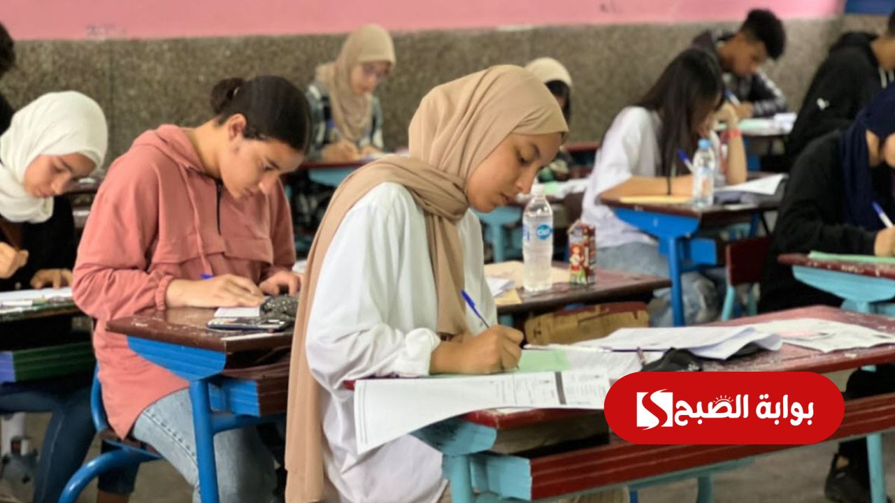 “تجاري وصناعي” ..طريقة الاستعلام عن نتيجة الدبلومات الفنية 2025 جميع الاقسام برقم الجلوس