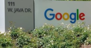 جوجل تلغي دعمها لأكثر من 50 منظمة تعزز التنوع والمساواة