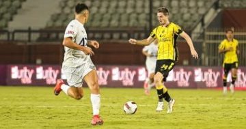 أندية الدوري الصاعدة حديثا تحقق نتائج متفاوتة في افتتاح الموسم الجديد